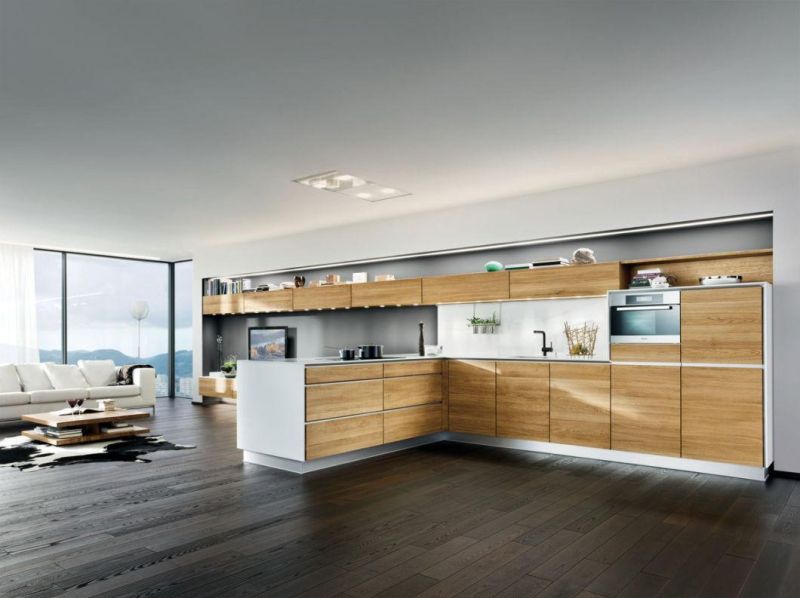 European Modern Kitchen Cabinets & Kitchen Furniture