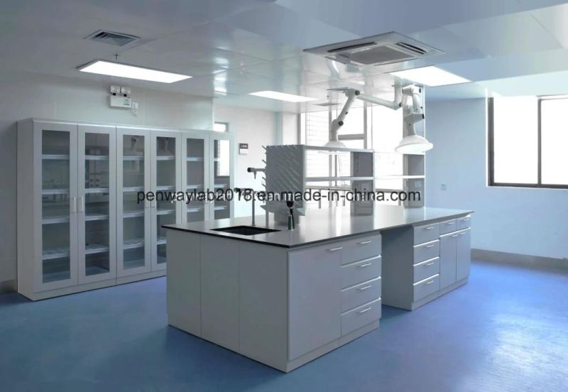 Modern Steel Furniture Laboratory Work Bench