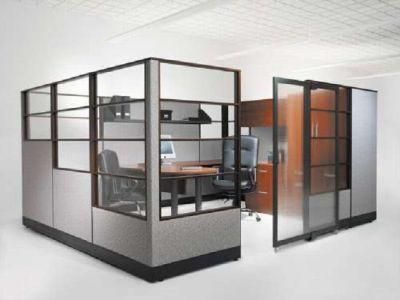 Modern Room Divider Used Office Glass Wall Partition (SZ-WS652)