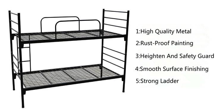 Wholesale Latest Double Bed Designs School Dormitory Black Green Adult Metal Bunk Bed