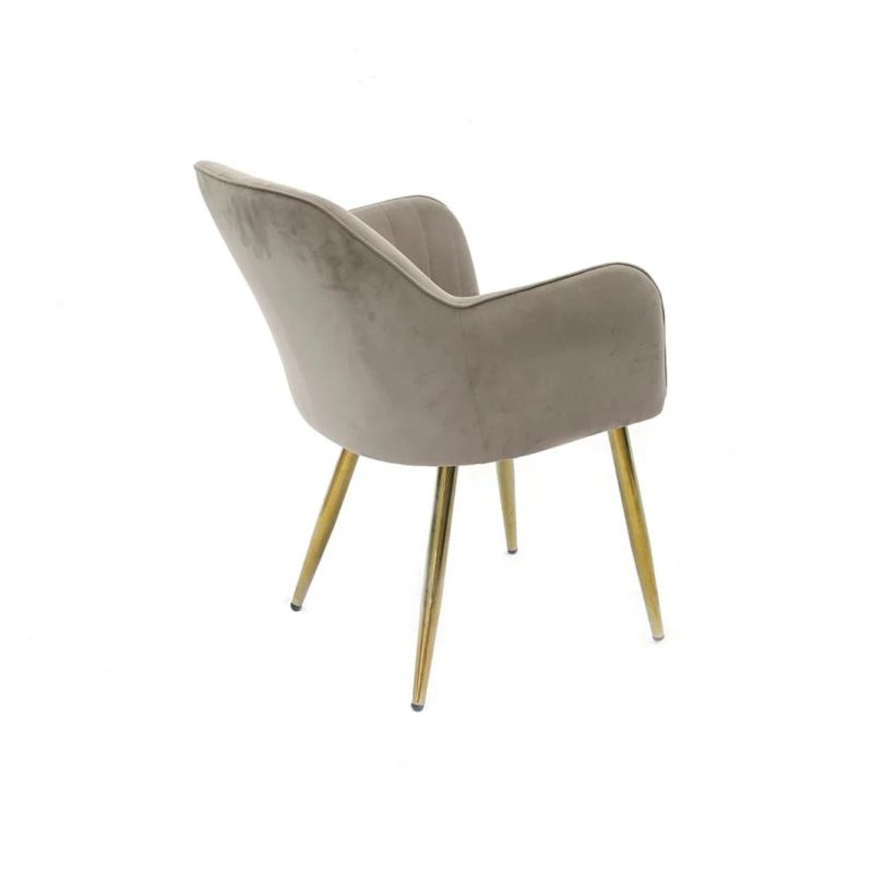 Modern Design Cafe Furniture Colored Fabric Gold Leg Dining Room Chairs