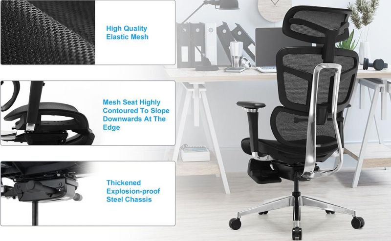 Li&Sung 10126 Evo Ergonomic Modern Adjustments Mesh Chair