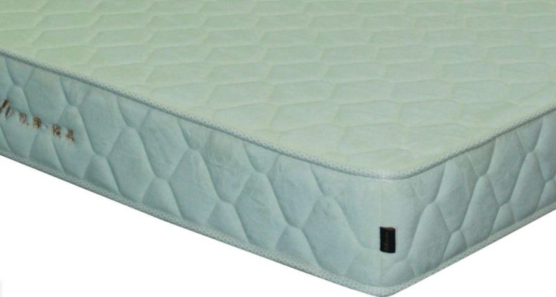 Factory Supply Modern Design Low Price Mattress