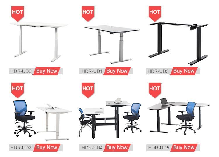 Automatic Height Adjustable Sit Stand Desk Modern Ergonomic Office Furniture