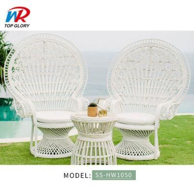 Outdoor Customized Garden Furniture Metal Frame Plastic Rattan Chair