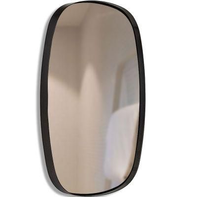 Design Home Mirror Irregular Shape Full Body Dressing