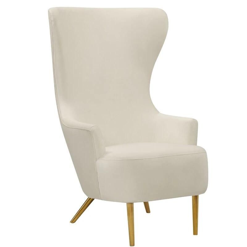 Modern Style Velvet Cushion Home Furniture Nordic Denmark Mark Polish Style Dining Chair