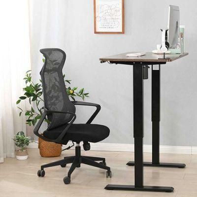 Elites 2022 Hot Sale Modern Office Furniture Office Standing Sitting Desk