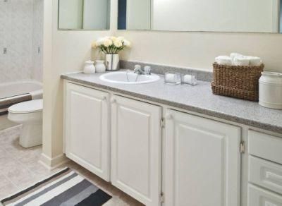 New Modern Bathroom Cabinet with Vanity Combo Mirror Space for Apartment Sets