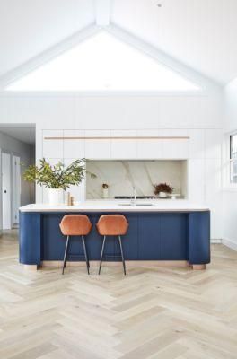 Modern Furniture White with Blue Island Custom Cabinets for Kitchen