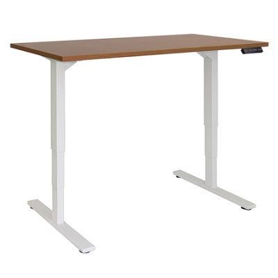 Dual Motor Electric Height Adjustable Sit Standing Desk