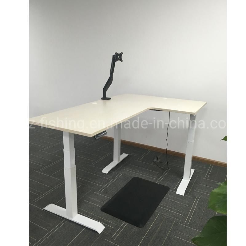 Office Modern Desk Height Adjustable Computer Executive Desk