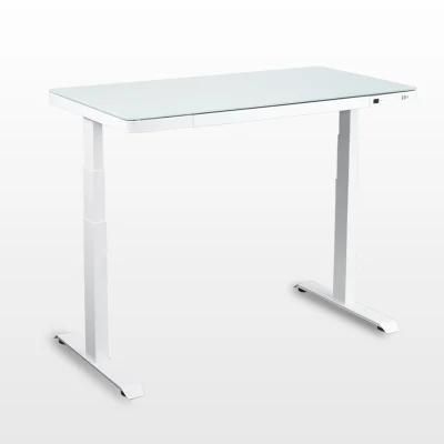 Economical Reliable Safety High Standard Quiet Electric Adjustable Desk