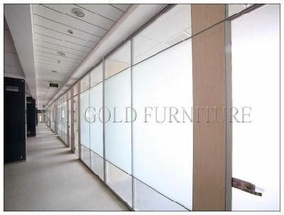 Modern 12mm Tempered Frosted Glass Office Partition Wall (SZ-WS573)