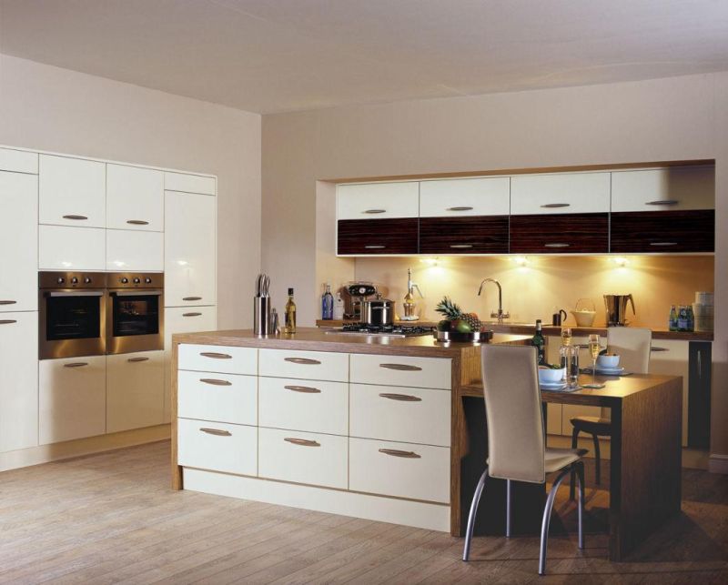 European Modern Kitchen Cabinets & Kitchen Furniture