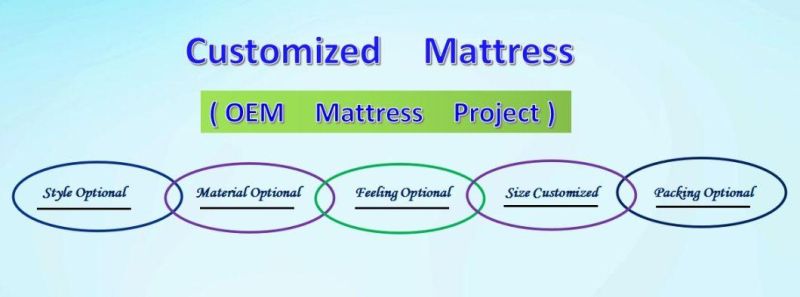 Customized Modern Hotel Bedroom Furniture Memory Foam Pocket Spring Mattress Queen Bed Mattress Eb15-1