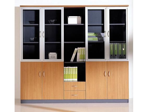 Modern Wooden Glass Door Filing Cabinet (SZ-FC020)