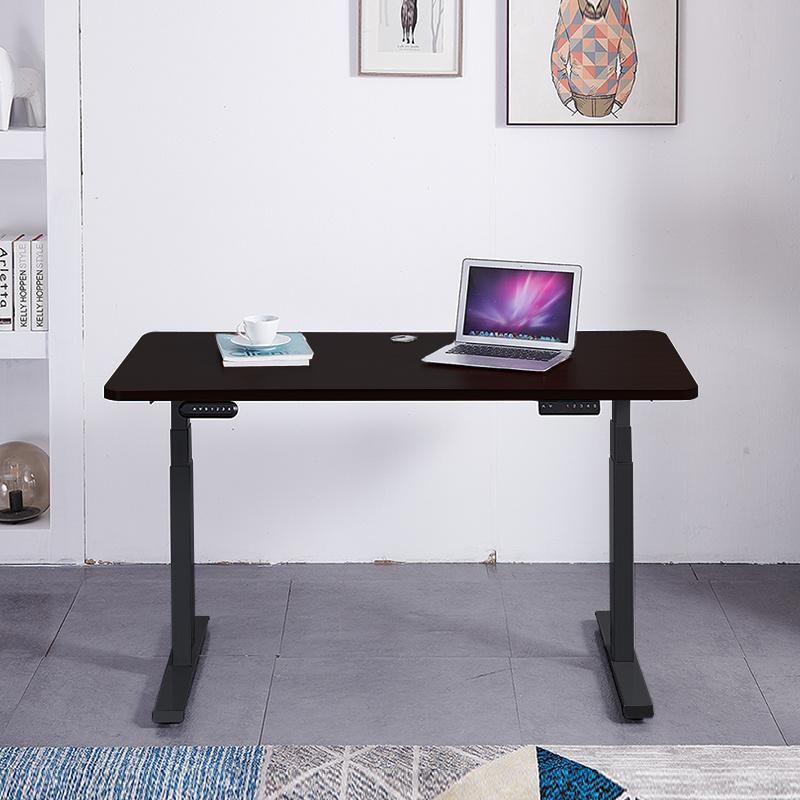 Dual Motor Electric Height Adjustable Standing Desk