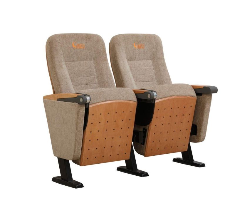 Public Lecture Theater Audience Stadium Classroom Church Auditorium Theater Seat