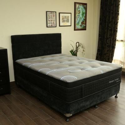 Modern Hotel Mattress Double Pillow Top Pocket Coil Spring Mattress in a Box