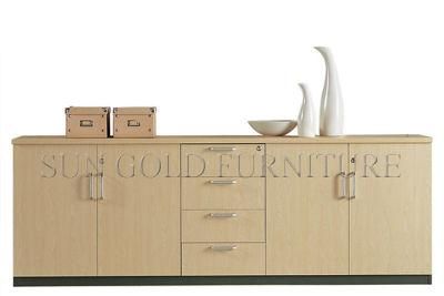 Modern Office Furniture Low Storage Cabinet (SZ-FC001)