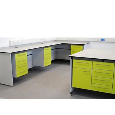 Pharmaceutical Factory Wood and Steel Chemical Lab Bench, Bio Wood and Steel Laboratory Furniture with Cover