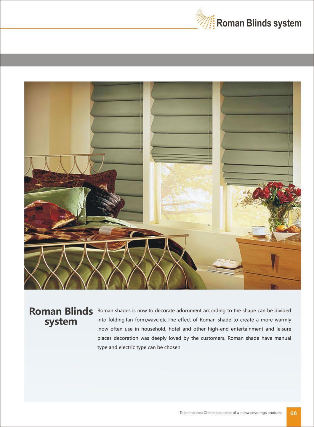 Customized Motorized High Quality Blackout Sunscreen Fabric Roller Blinds/ Manual Electric Roman Blinds / Window Blinds