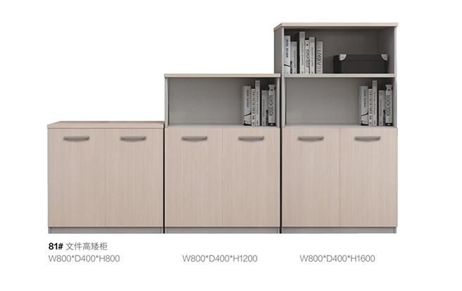 Elegant Modern Office Furniture Filing Cabinet Display Shelf