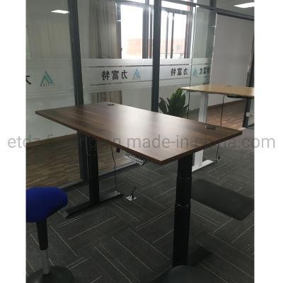 Sit and Standing Riser Desk Electric Height Adjustable Computer Desk