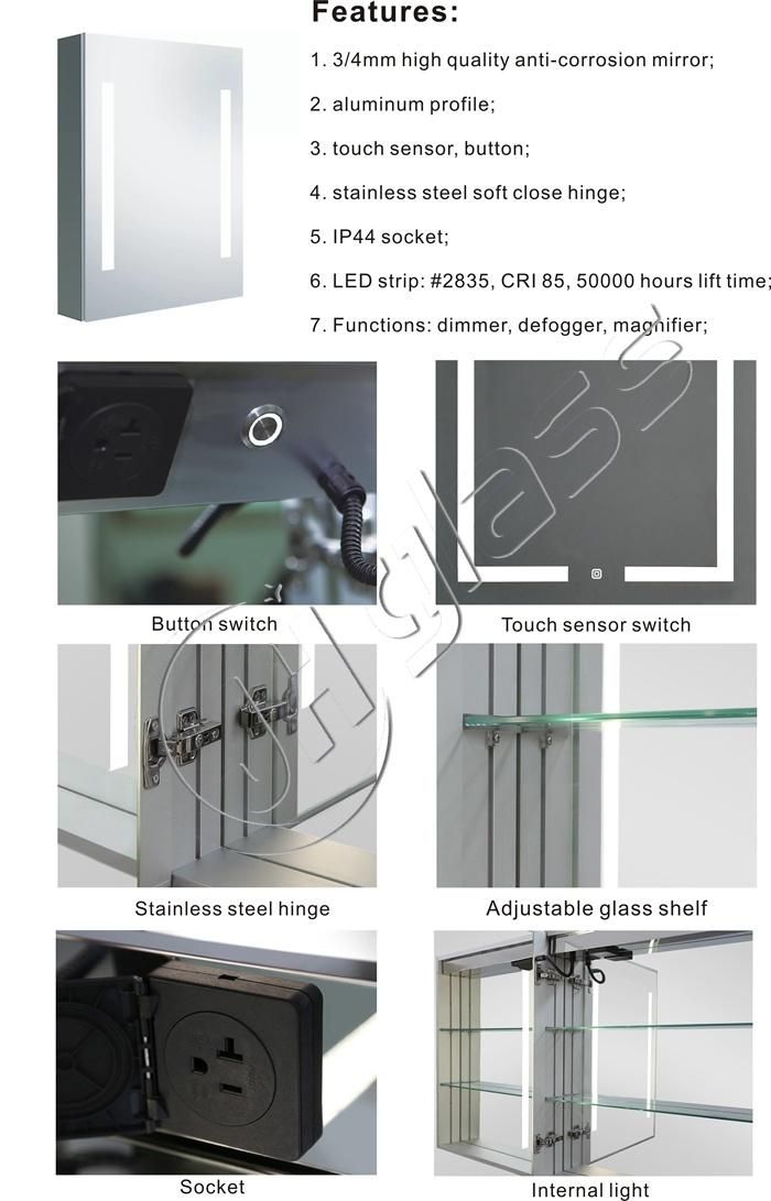 Wall Mount and Recessed LED Lighted Bathroom Mirror Medicine Cabinet
