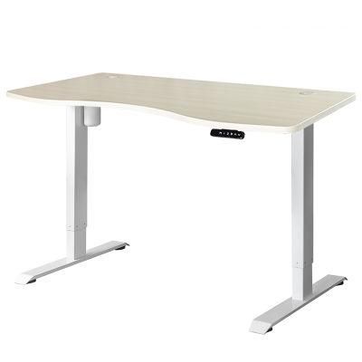 Morden 2 Stage Single Motor Electric Adjustable Standup Desk for Office Sit Stand