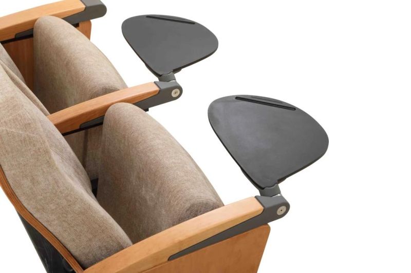 School Cinema Lecture Theater Stadium Economic Theater Church Auditorium Chair