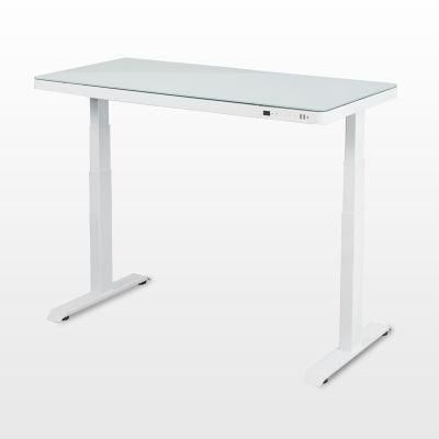 Manufacturer Cost and Stable 140kg Load Weight Standing up Desk