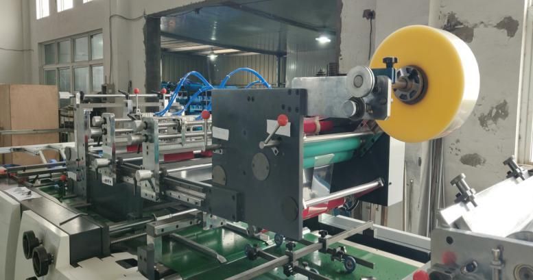 New Condition Hot Sale Fully Automatic High-Speed Window Patching Machine Window Patcher