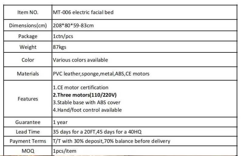 Hochey Medical 3 Motors Factory Directly Price Facial Salon Chair Table Leather Electric with Massage Bed