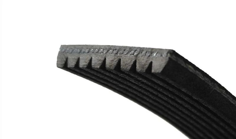 5pk1530 CR Rubber V Ribbed Pk Drive Belt for Water Pump