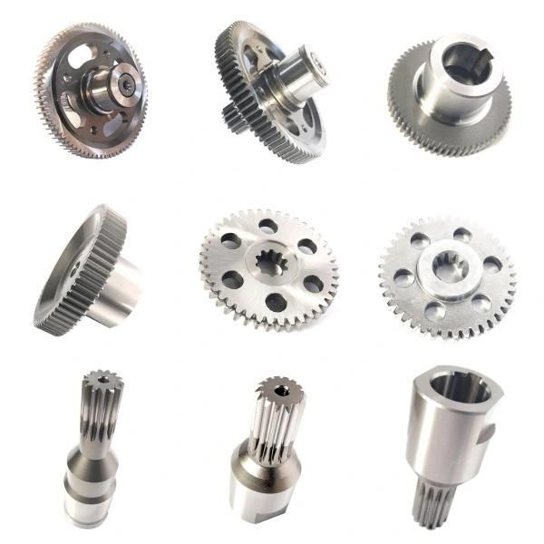 Transmission Machining Part Customized Spur Worm Gear