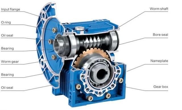 CE Approved RV Series Blue Worm Gearbox with Motor Combination