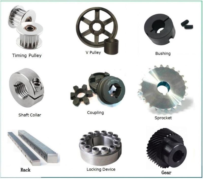 High Precision Professional Custom Design Helical Tooth Worm Gear