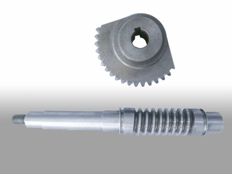 High Quality Steel Spur Gear