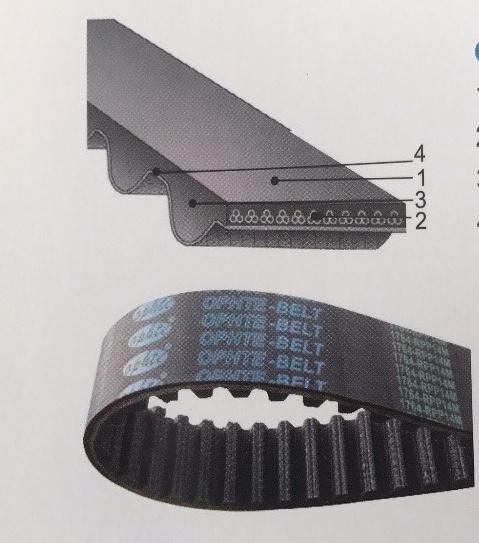 Oft HNBR Timing Belts, Toothed Driving Belts, OEM Rubber Belt