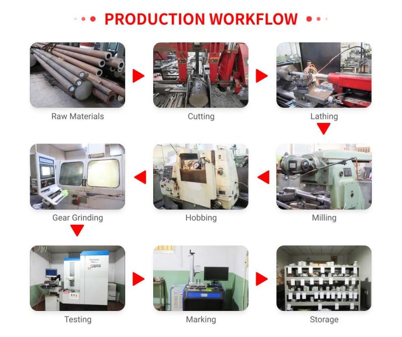 Custom Farm Driven Device Stainless Steel Spur Gear