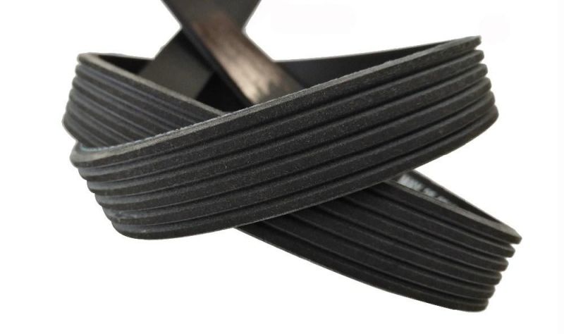 5pk1700 CR Rubber V Ribbed Pk Drive Belt for Water Pump