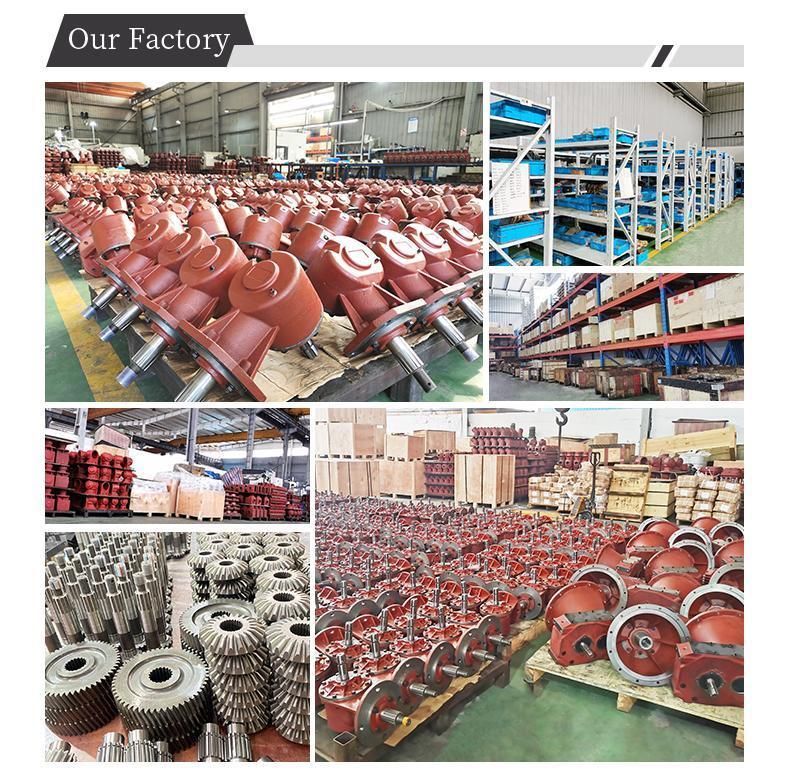 Power Transmission Roller Chain Coupling with High Quality