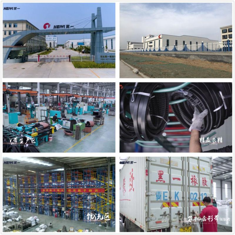 3V/5V/ 8V /9j/ Narrow Wedge Belts Rubber V Belts for Agriculturer, Industrial Machinery