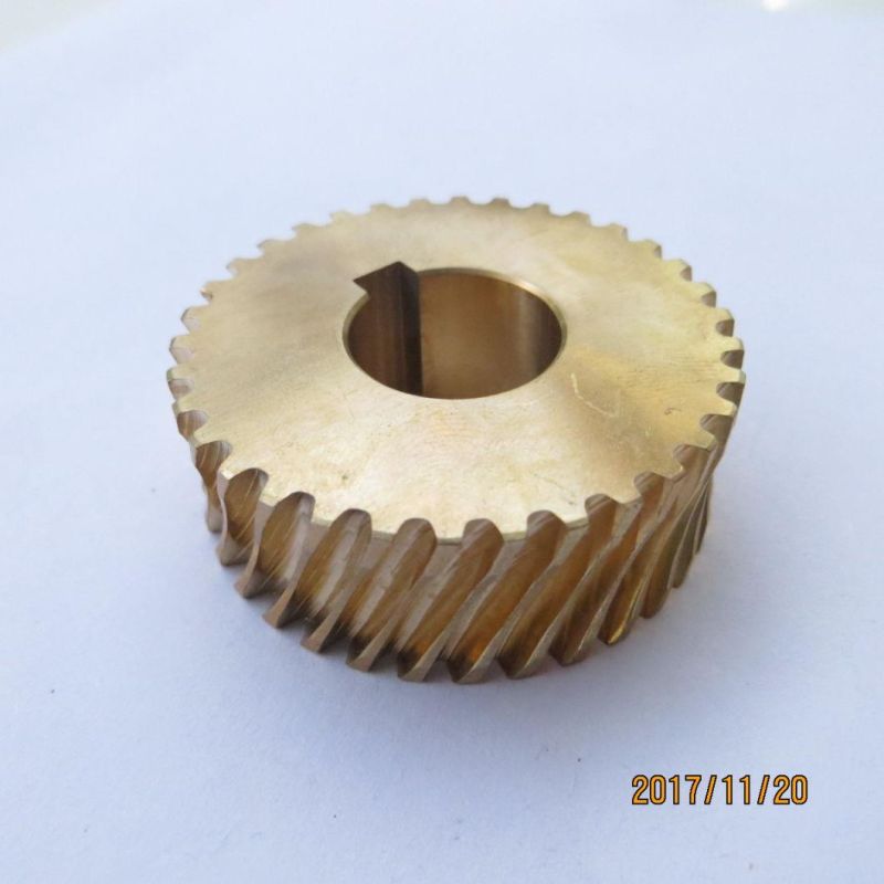 Customized Scm440 Steel Auger Worm Gear