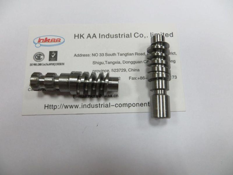 High Quality Brass Worm Gear and Pinion, Brass Worm Wheel