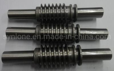 Customized Auto Parts Steel Worm for Machinery