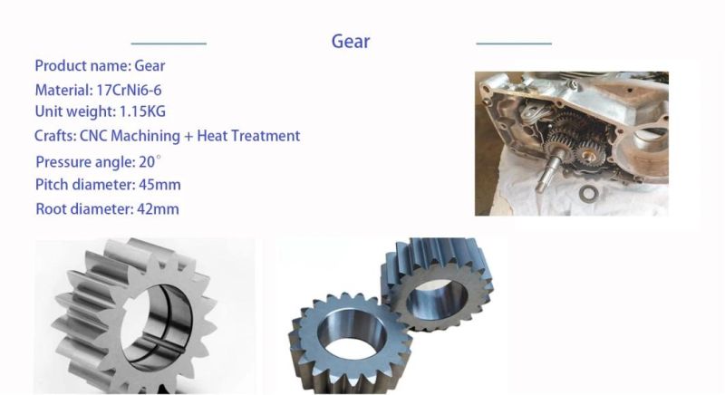 Customized High Precision CNC Machining Metal Spur Gear