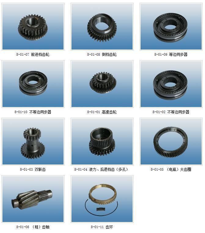 Duplex Duplicate Dual Oil Pump Gear for Machine Tool, Agricultural Machine and Truck